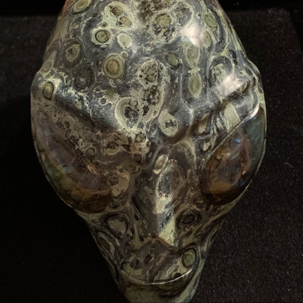 Kambaba Jasper w/Labradorite Eyes Alien